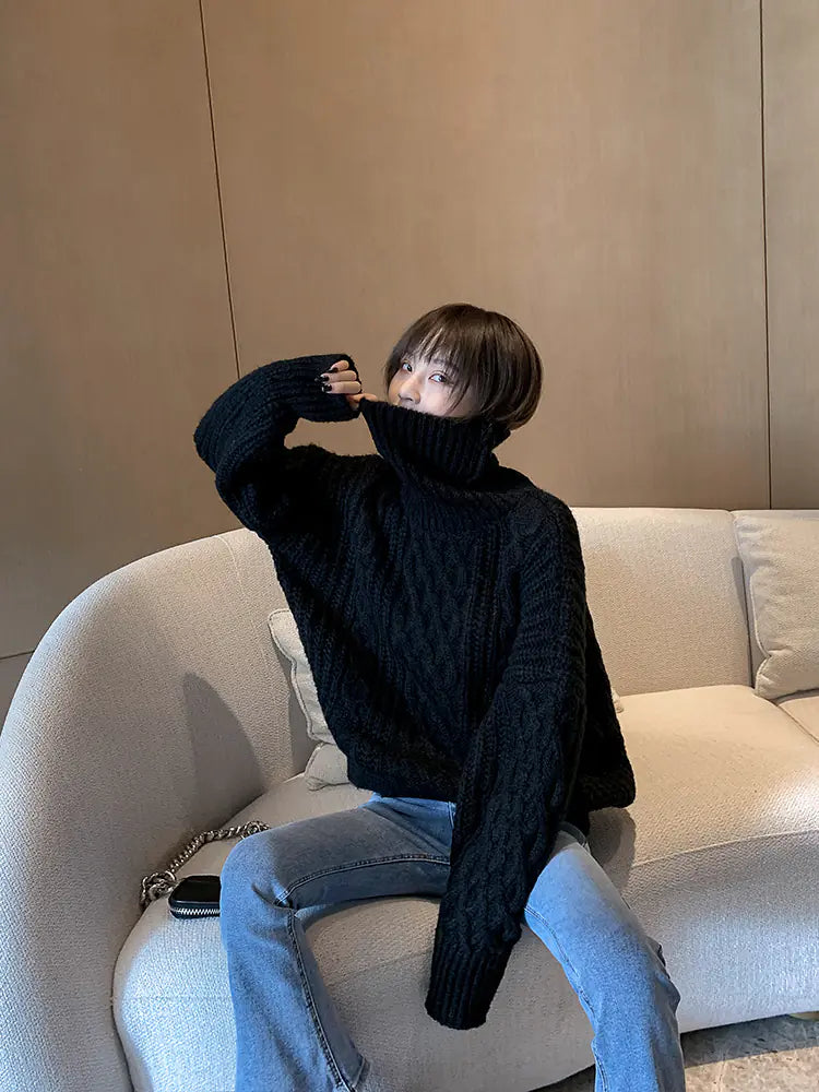 Loose Knit Sweater for Women - Black Turtleneck 2019