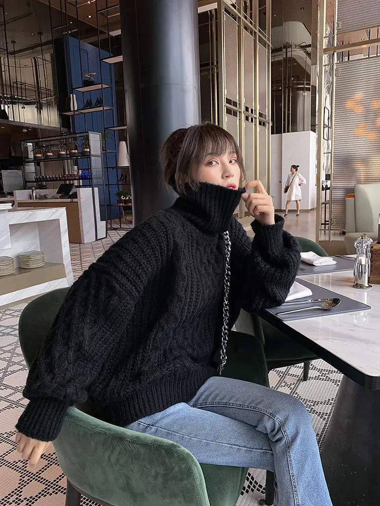 Loose Knit Sweater for Women - Black Turtleneck 2019