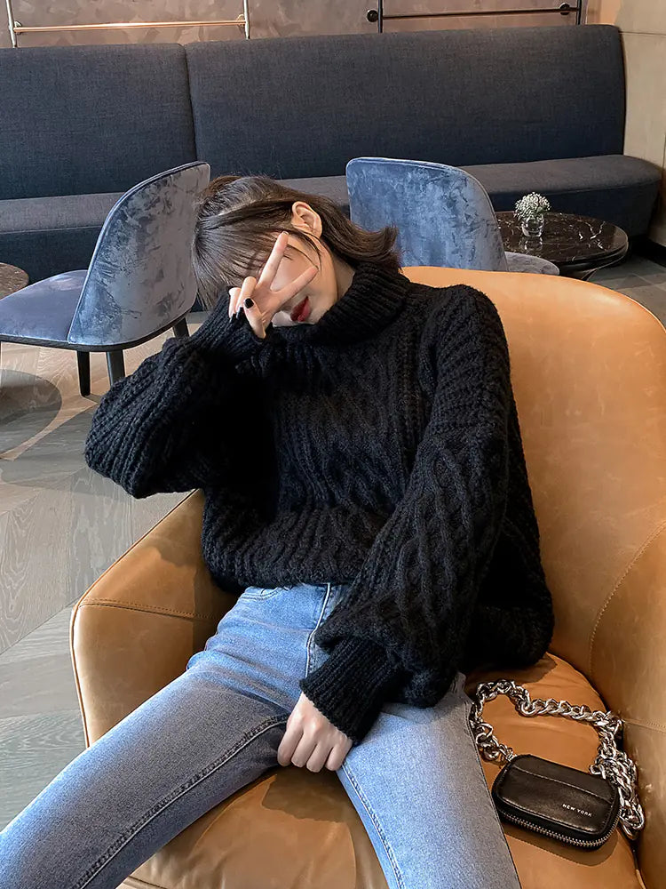 Loose Knit Sweater for Women - Black Turtleneck 2019