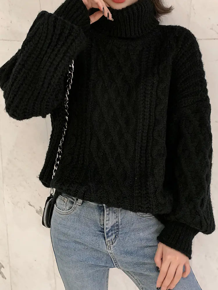 Loose Knit Sweater for Women - Black Turtleneck 2019