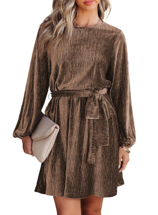 Happy Sailed Dresses for Women Spring Fashion Long Sleeve Tie Waist A-Line Skater Elegant Velvet Mini Cocktail Party Dresses Brown Large