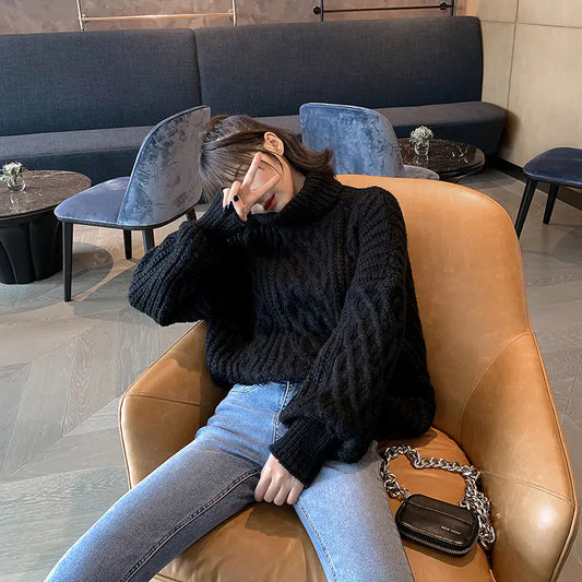 Loose Knit Sweater for Women - Black Turtleneck 2019